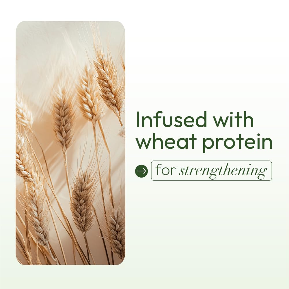 ORS Olive Oil Edge Control Hair Gel for Strengthening (2.2 oz)